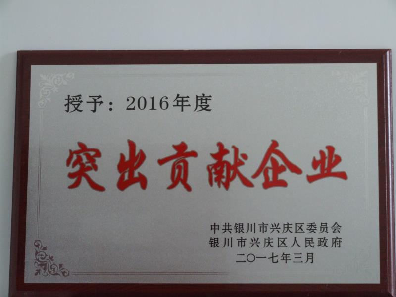 易游手机在线官网,易游(中国)2016年度突出贡献企业